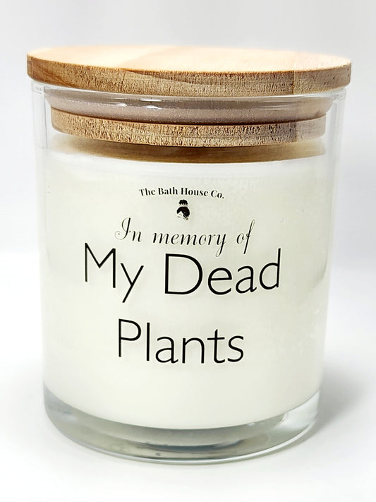 In Memory of My Dead Plants