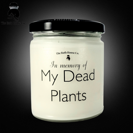 In Memory of My Dead Plants
